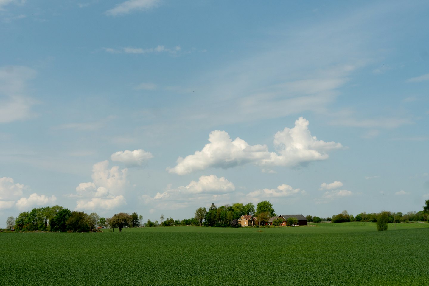 Campi agricoli verdi si estendono verso una fattoria rurale sotto le nuvole.